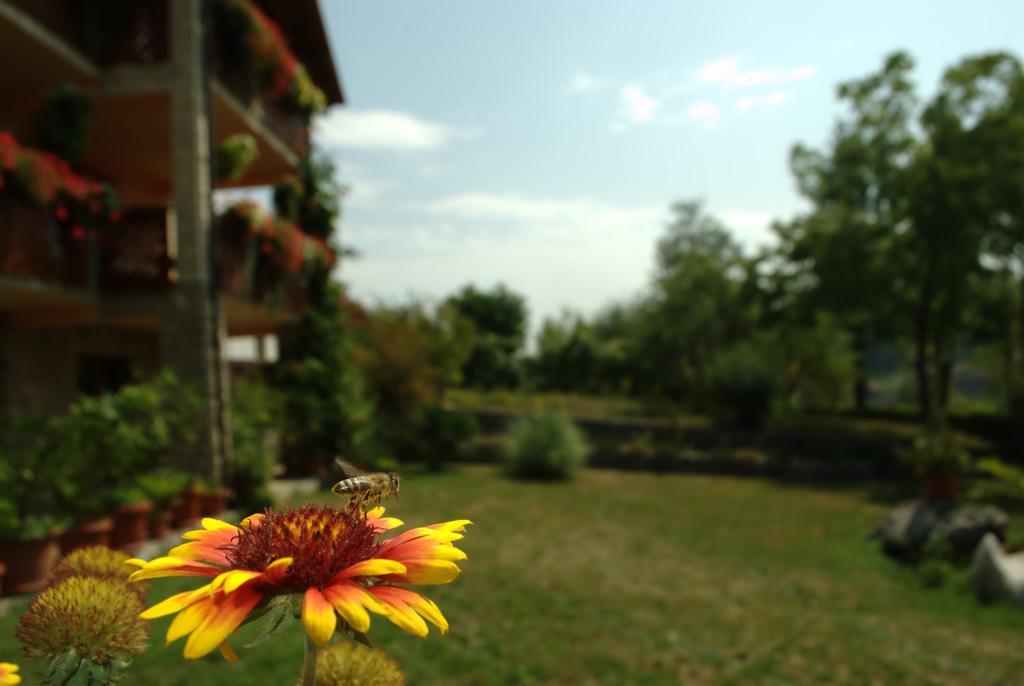 Guest House Nena Rastoke Слуни Екстериор снимка